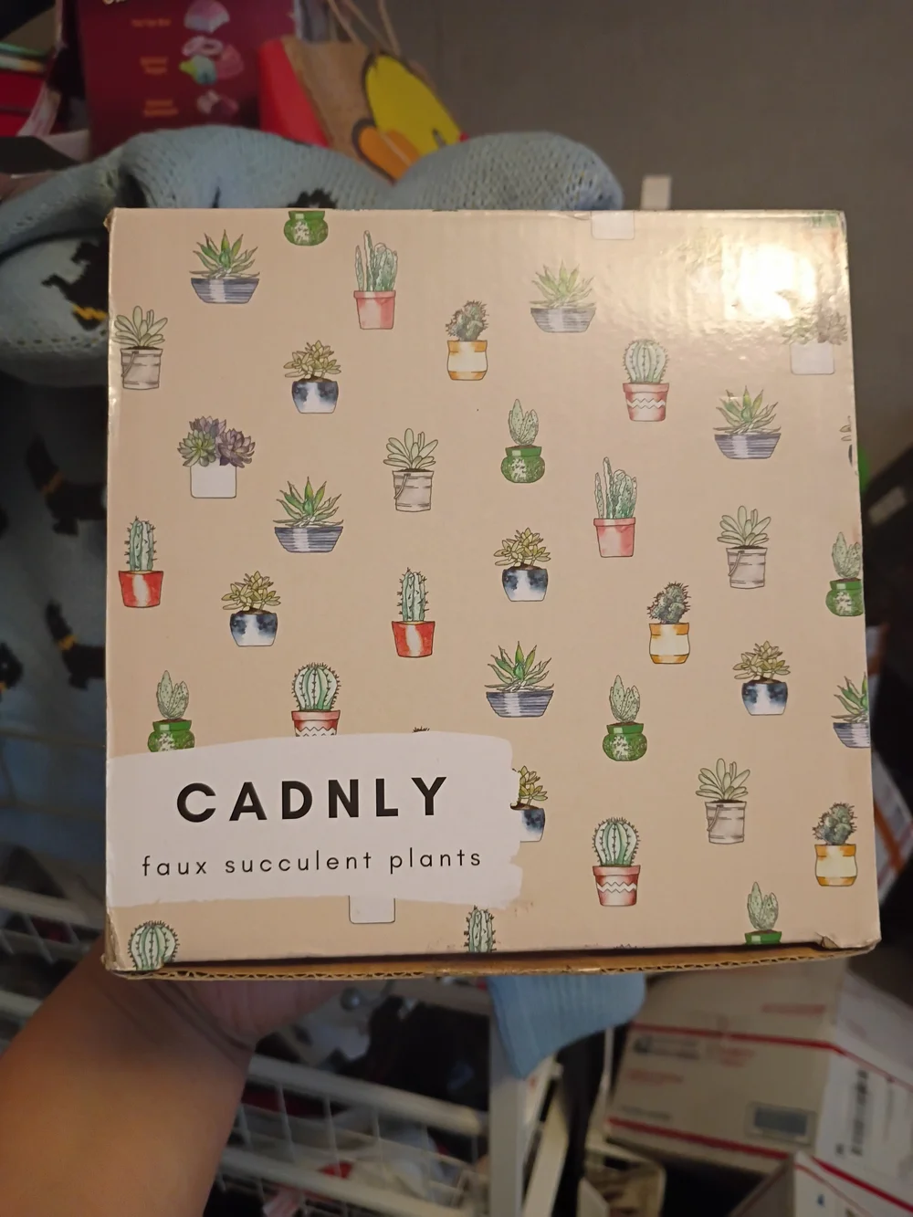 Faux Succulent Plants - Beige Decorative Box